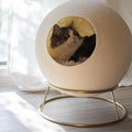 Enclosed Cozy Cat Bed