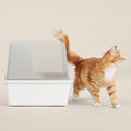 Covered Cat Litter Tray